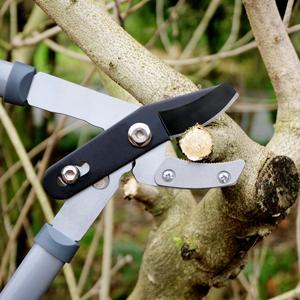 garden shears