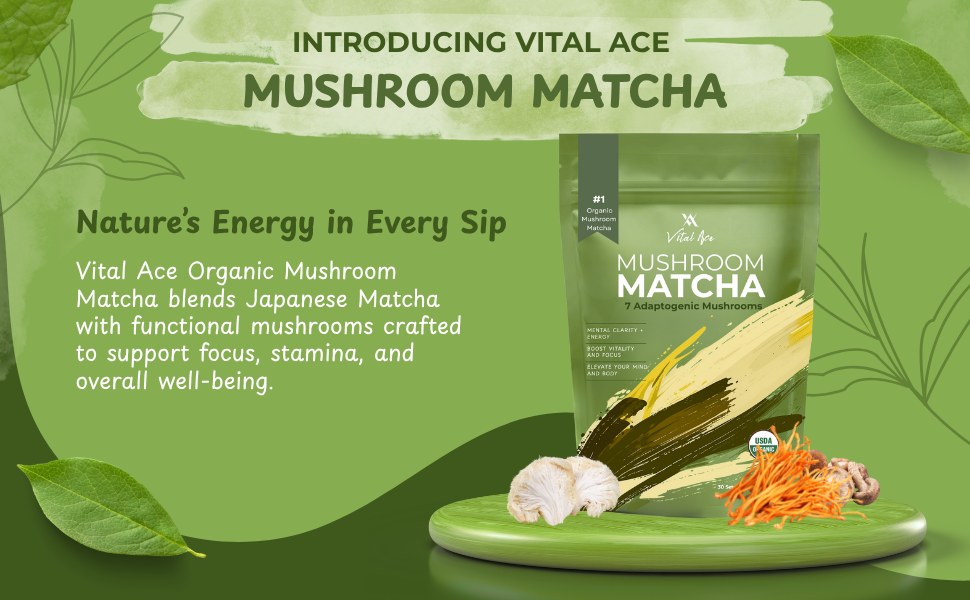 matcha powder matcha ceremonial grade matcha powder matcha ceremonial grade macha powder tea