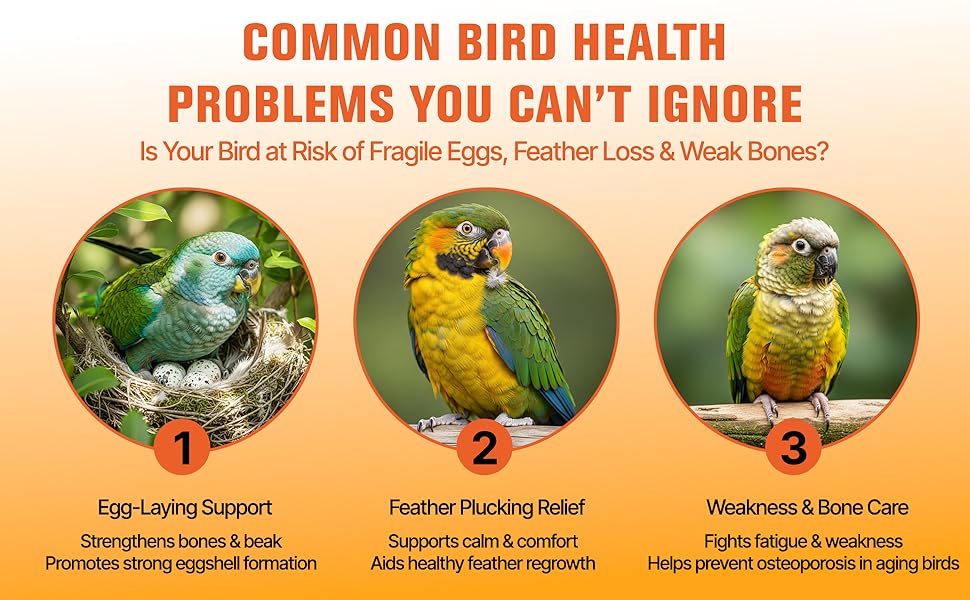 bird cage accessories