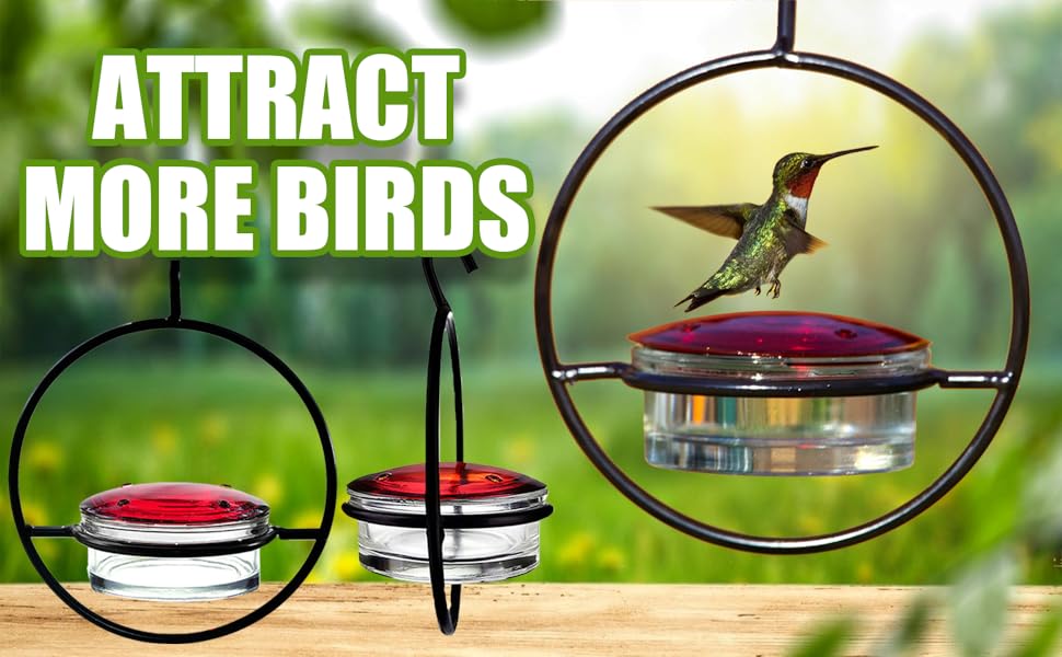 Beautiful Circular Hanging Hummingbird Feeder, Hummingbird