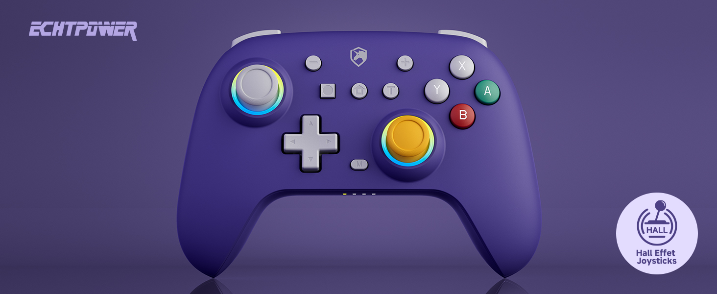 avec sticks analogiques, D-pad et boutons multiples. La marque « EchtPower » est visible. Icône sans fil dans un coin.