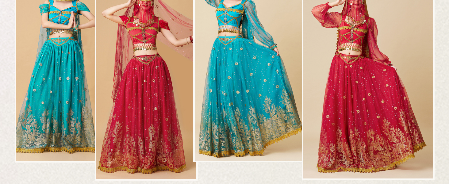 Belly Dance Dress Costume