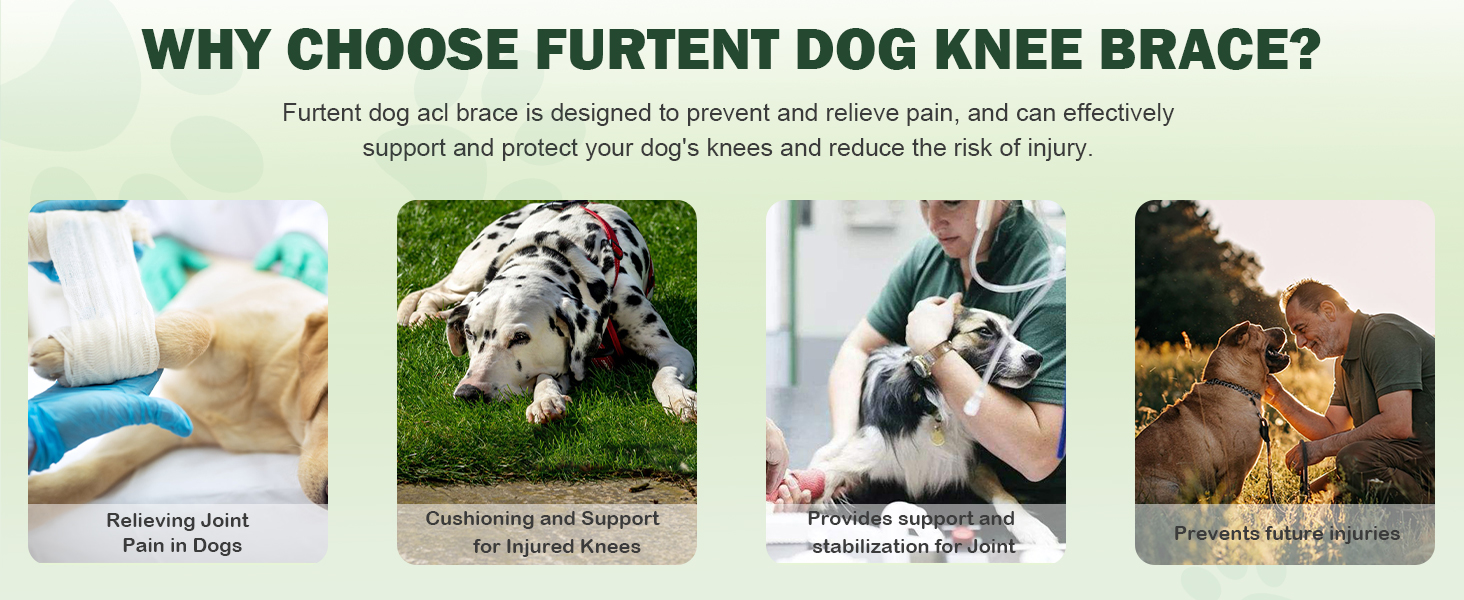 ccl brace for dogs rear leg