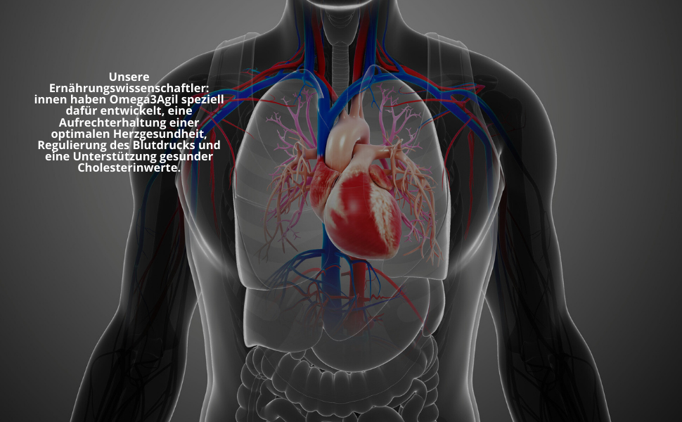 Omega3Agil_Bild-3_A+Content_Amazon