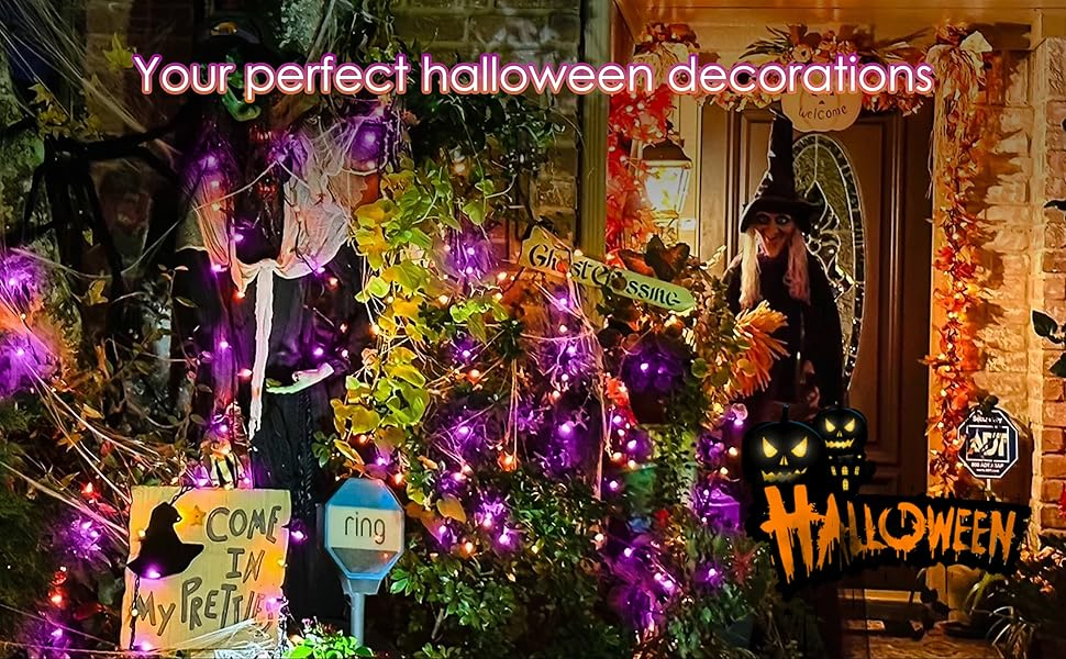 Halloween Fairy Lights