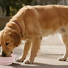 Creating one-stop outdoor equipment for your beloved pet!