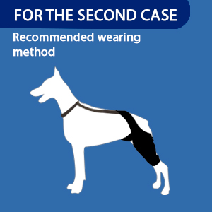 dog knee brace slip down 3
