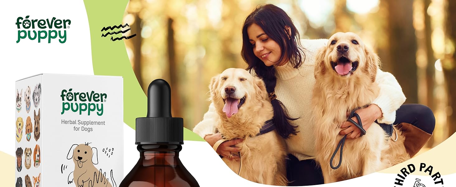 mushroom supplement for dogs reishi mushroom powder reishi mushroom extract