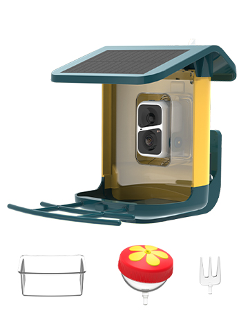 solium bird feeder with camera