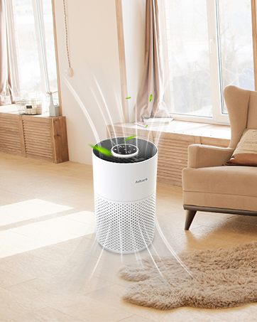 Portable Air Purifier