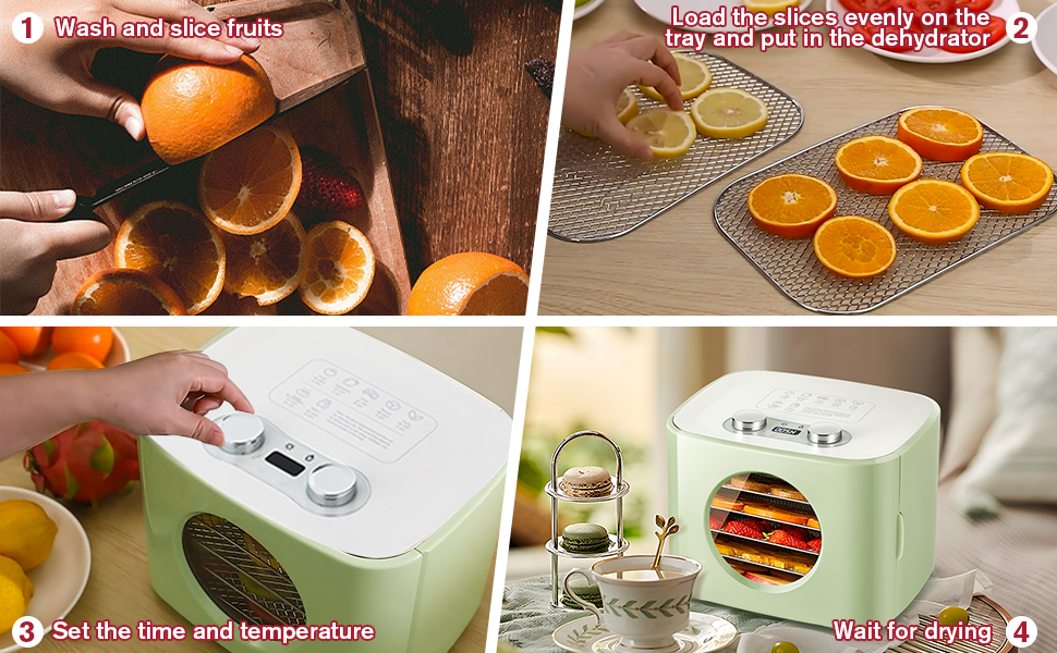 LANUEVA Food Dehydrator Machine with Recipe, 5 Stainless