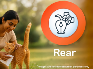 pawkare pet wipes