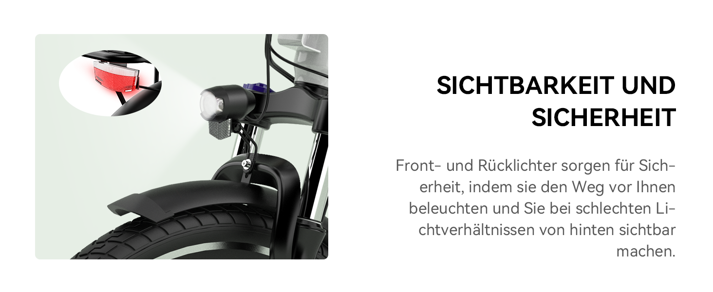 ebike herren