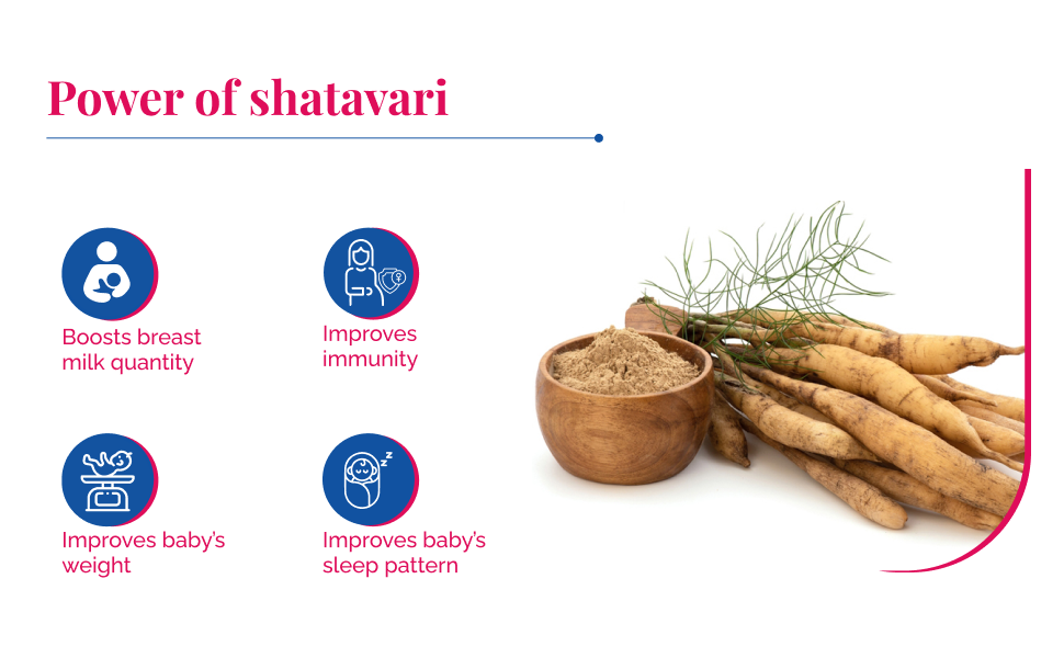 shatavari that boosts breast milk, improves immunity, improves baby's weight and sleep pattern