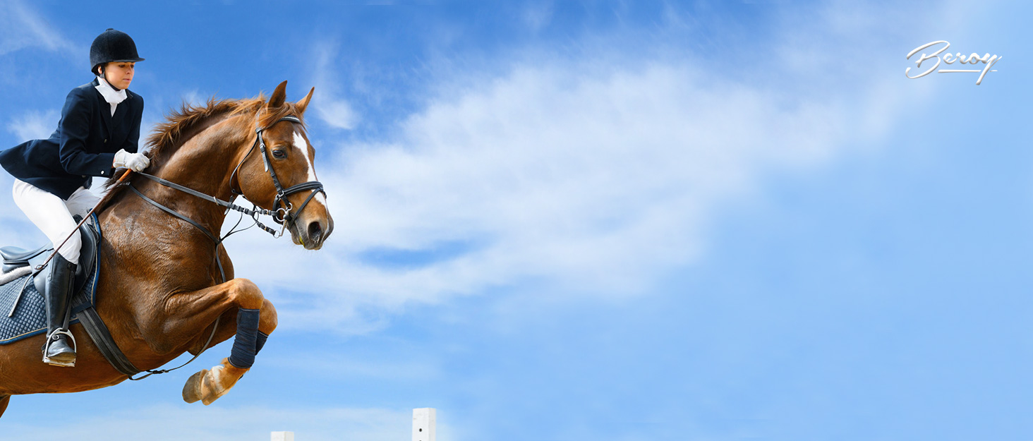 Women Fleece Lined Horse Equestrian Riding Pants