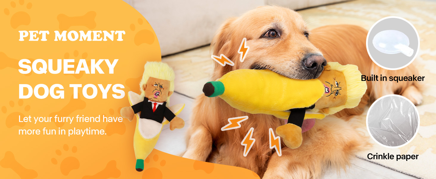 dog toy