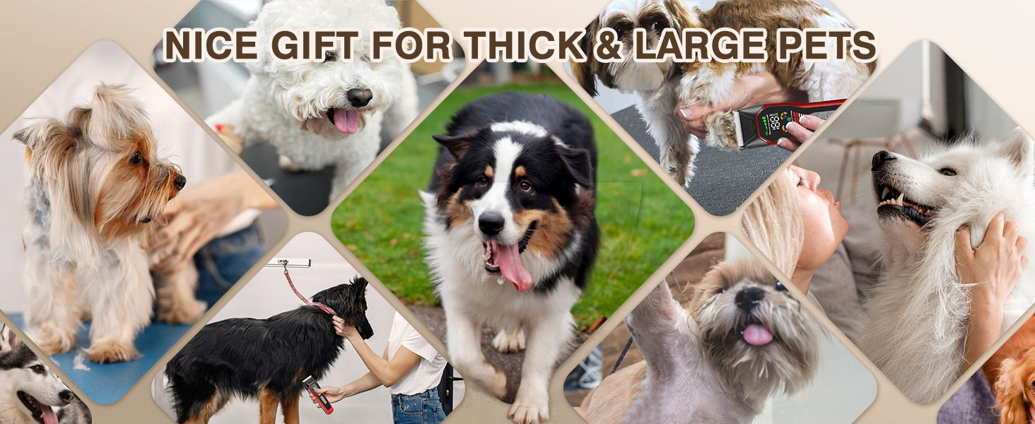 big dog horse sheep hair clipper