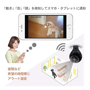 プラグインカムロボット Amazon.co.jp: WB Japan PlugInCam ROBOT（プラグインカム