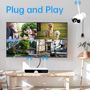 plug and play , auto pair