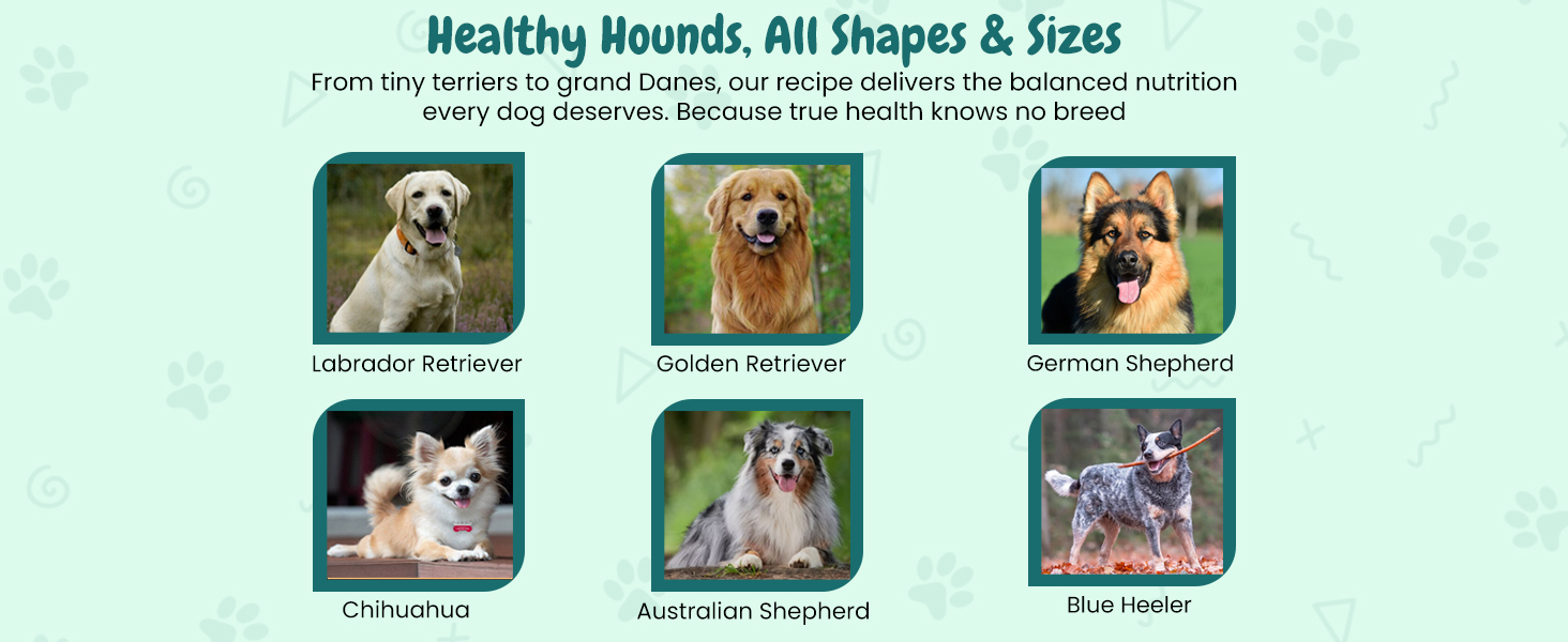 Large manufacture image 5