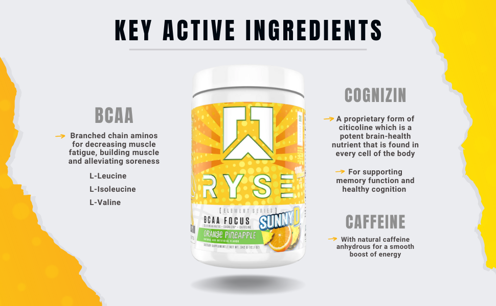 Ryse Element Series BCAA Focus Hydrate, Focus, Recover
