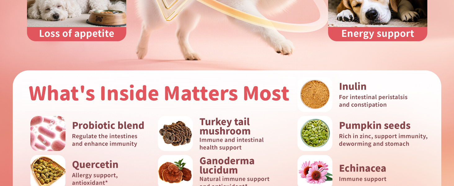 What’s Inside Matters Most