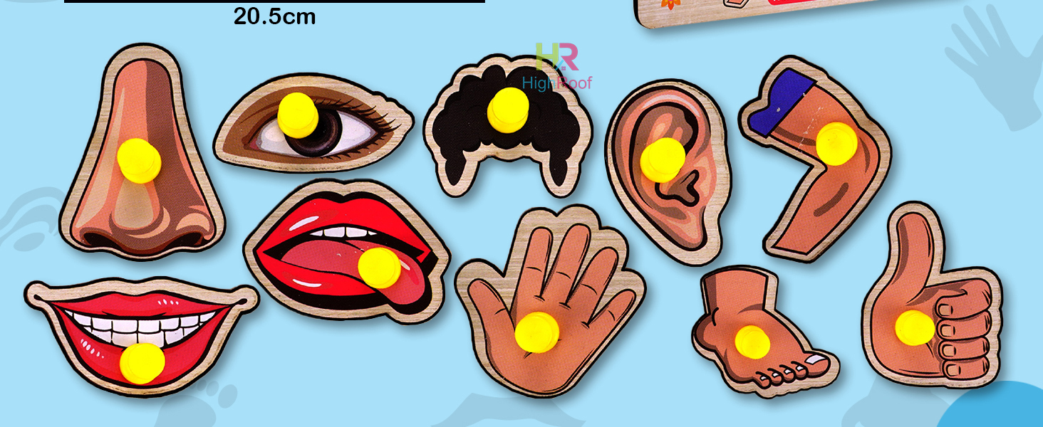 kids brain development toys