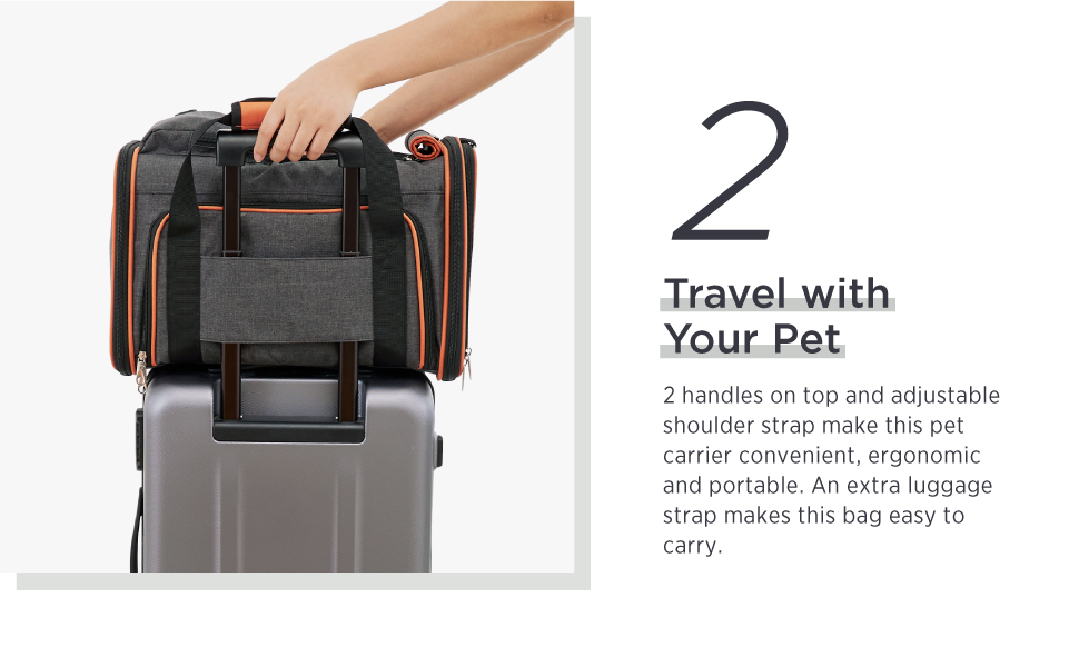 Lesure TSA Airline Approved Pet Carrier Expandable Cat Carrier