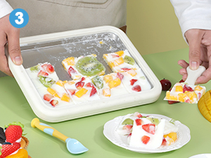 homemade ice cream maker