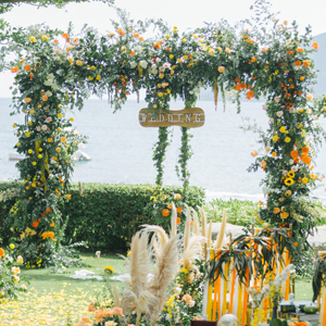 backdrop stand 10x10