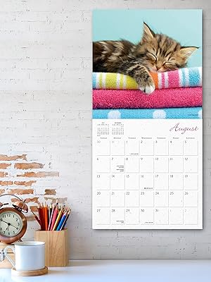 Amazon.com: Cat Naps 2023 Wall Calendar, 16-Month Cat Calendar, 12" x Amazon.com: Cat Naps 2023 Wall Calendar, 16-Month Cat Calendar, 12" x