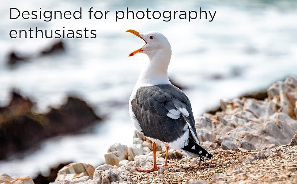 Integral 8GB Compact Flash Card Amazon.it Informatica