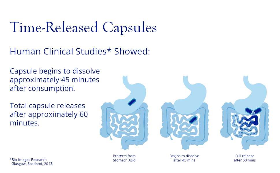 Time release capsules DRCaps Probiotics Prebiotics protects from stomach acid