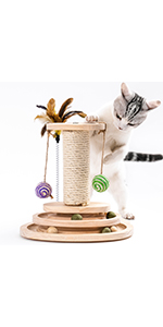 cat ball toy