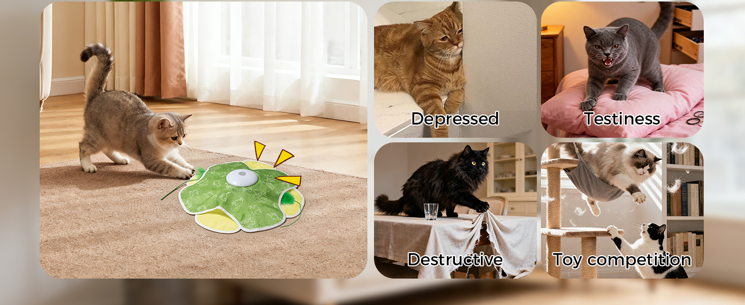 interactive cat toy