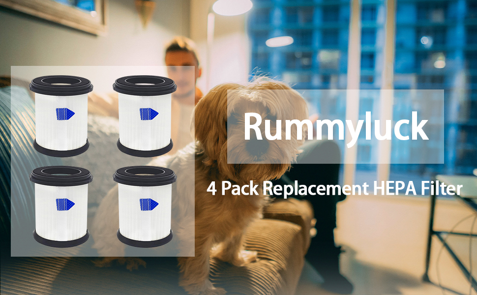 Rummyluck 4 Pcs Vacuum Hepa Filter Compatible with INSE N5S