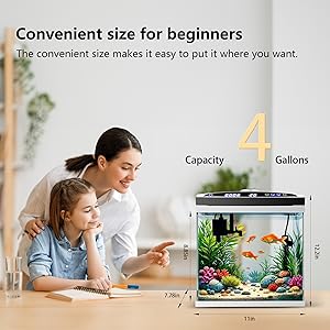 Amazon.com : 4-Gallon Small Fish Tank with Filter, Heater