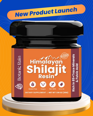 new product launch