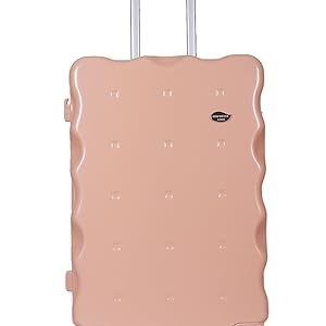 MiniVest Carry On Luggagebag 