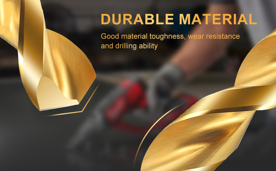 Titanium Drill Bit Set (100 pcs)