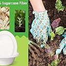 Heavy-duty paper bowls