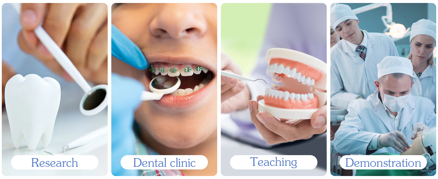 Dental Tools Set