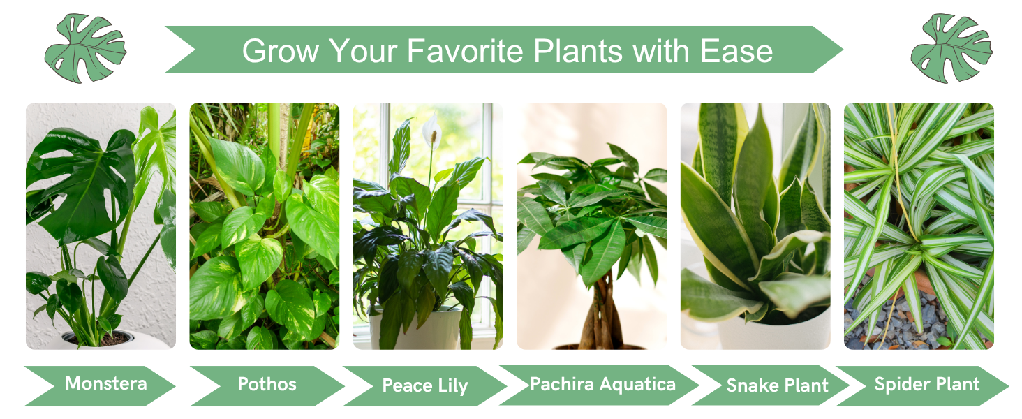 easyplant self watering plant