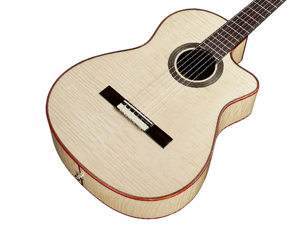 Amazon.com: Cordoba GK Studio Cutaway Flamenco Acoustic