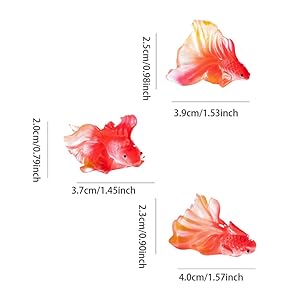 koi fish tank