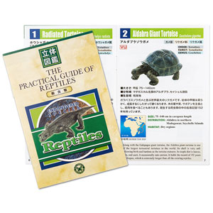 亀ページ Amazon | カロラータ 爬虫類 フィギュア 立体図鑑 (カメ トカゲ