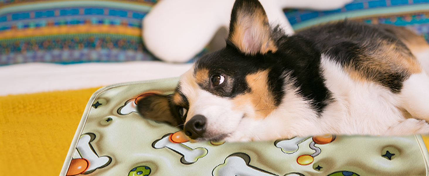pee pads for bed
