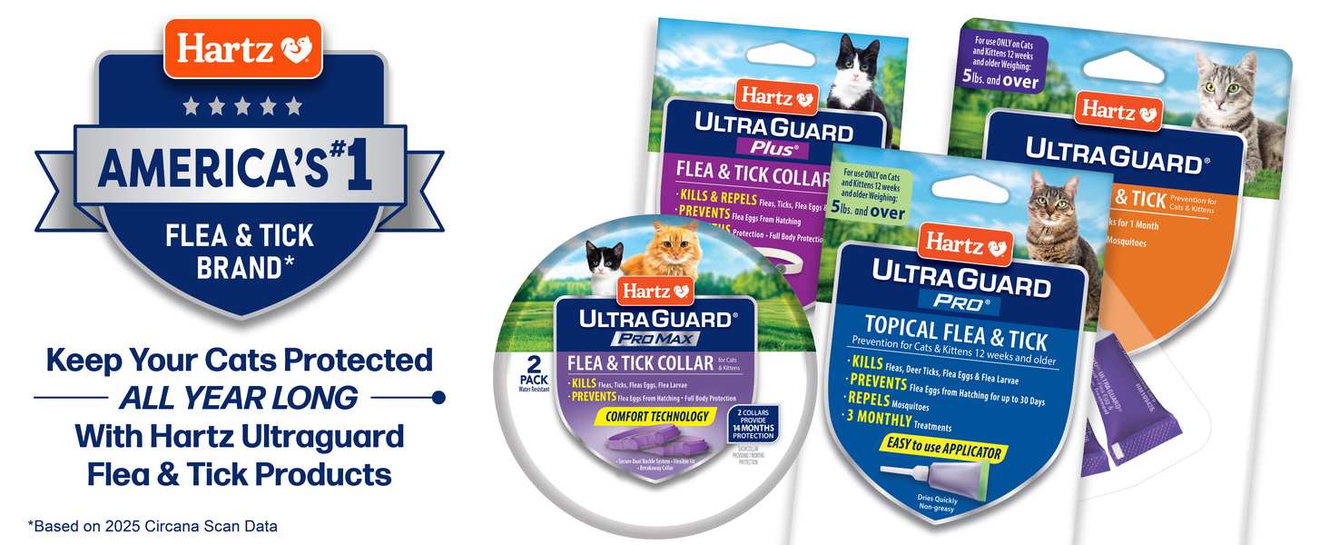 Large manufacture image 6