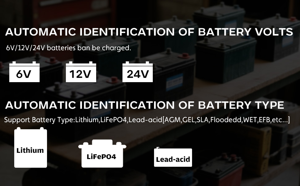 6 volt battery charger
