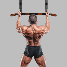 pull up bar ceiling